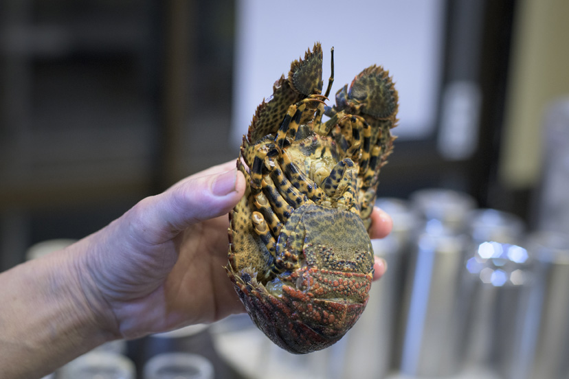 高円寺で高知・愛媛の魚介をシレっと満喫する方法