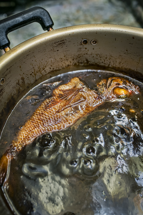 築地「多け乃」一家で切り盛り88年！場外の老舗食堂で煮魚にひれ伏した宵