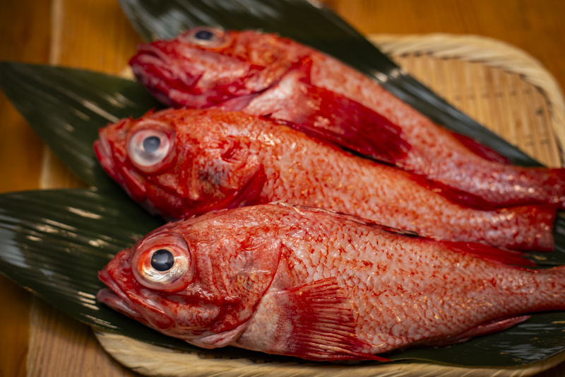 高円寺「魚貝ののぶ」行けばわかるさ、魚好きのためのパラダイス