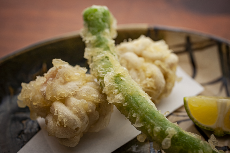 高円寺「魚貝ののぶ」行けばわかるさ、魚好きのためのパラダイス