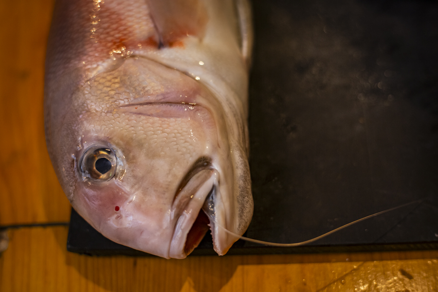 水天宮前「炭手前 鷽」心も焦がす、唯一無二の炭火料理フルコース