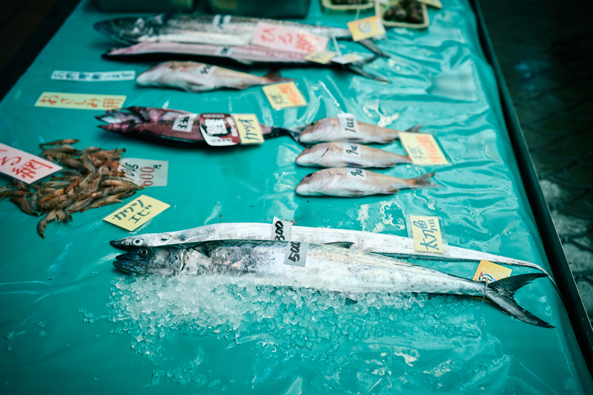 明石の台所“うおんたな”で、飛び切りの一杯を！ -後編-