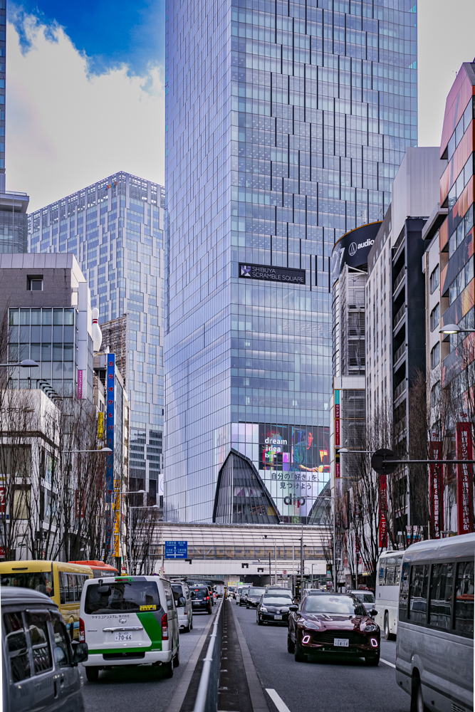 渋谷「酒井商会」私の“とっておき”にしたくなるシン・都会派酒場