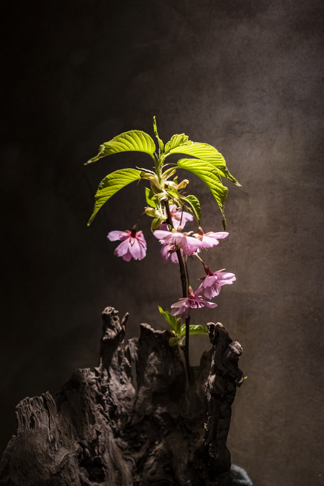 渋谷「酒井商会」私の“とっておき”にしたくなるシン・都会派酒場