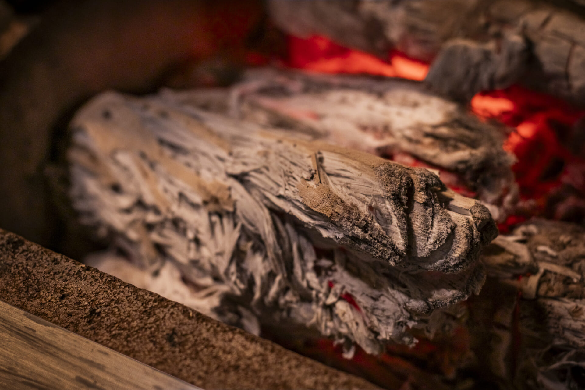 渋谷「酒井商会」私の“とっておき”にしたくなるシン・都会派酒場